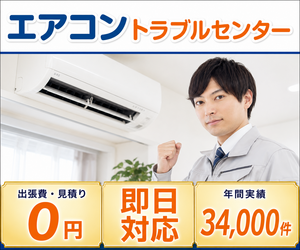 エアコントラブルセンター